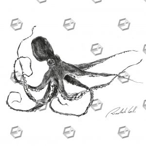 octopussy2-300x300